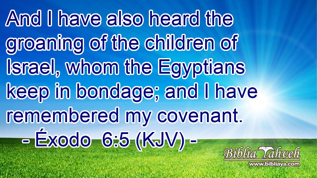 And I have also heard the groaning of the children of Israel, whom the Egyptians keep in bondage; and I have remembered my covenant.