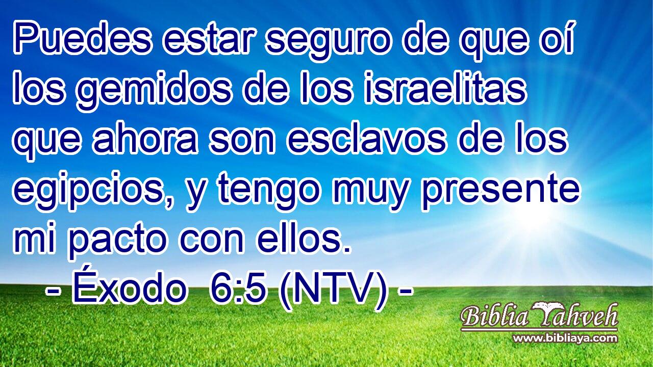 Puedes estar seguro de que oí los gemidos de los israelitas que ahora son esclavos de los egipcios, y tengo muy presente mi pacto con ellos.