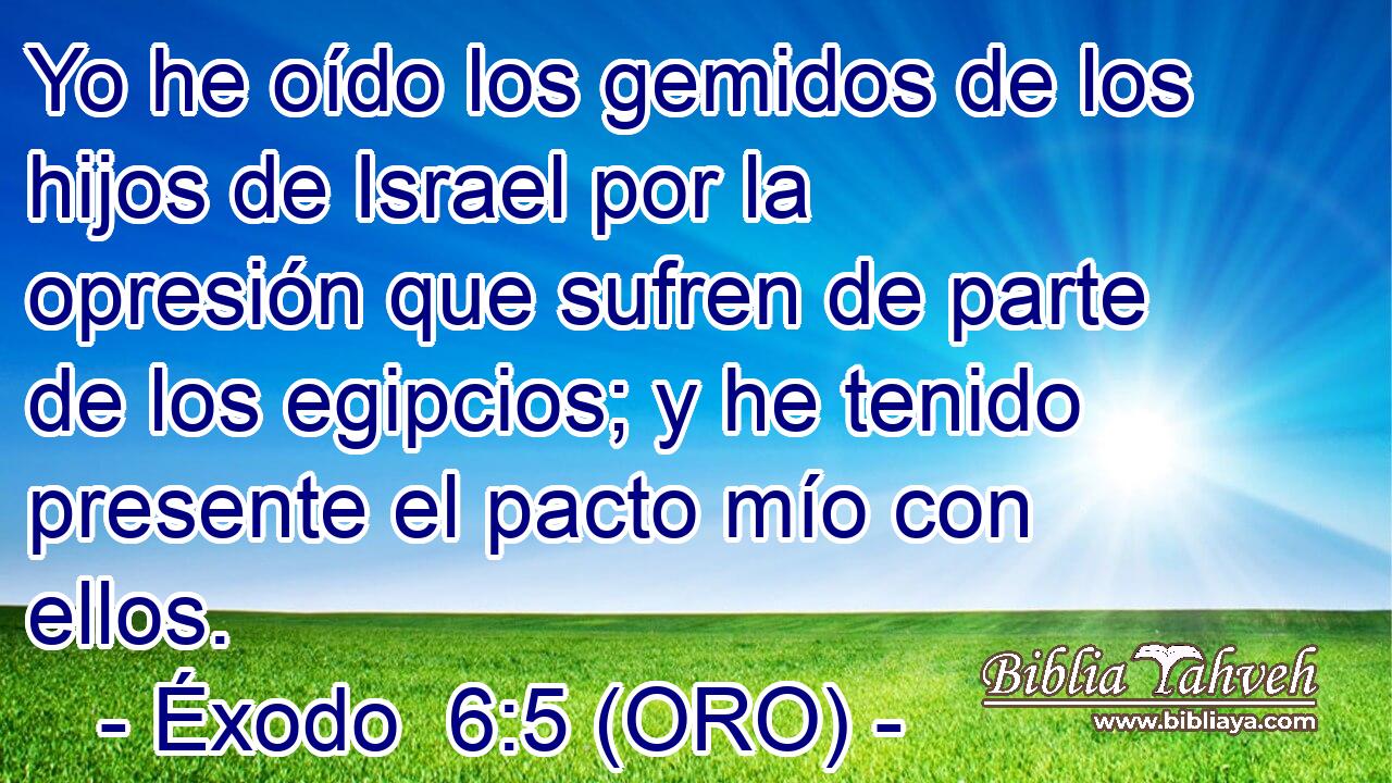  Yo he oído los gemidos de los hijos de Israel por la opresión que sufren de parte de los egipcios; y he tenido presente el pacto mío con ellos. 
