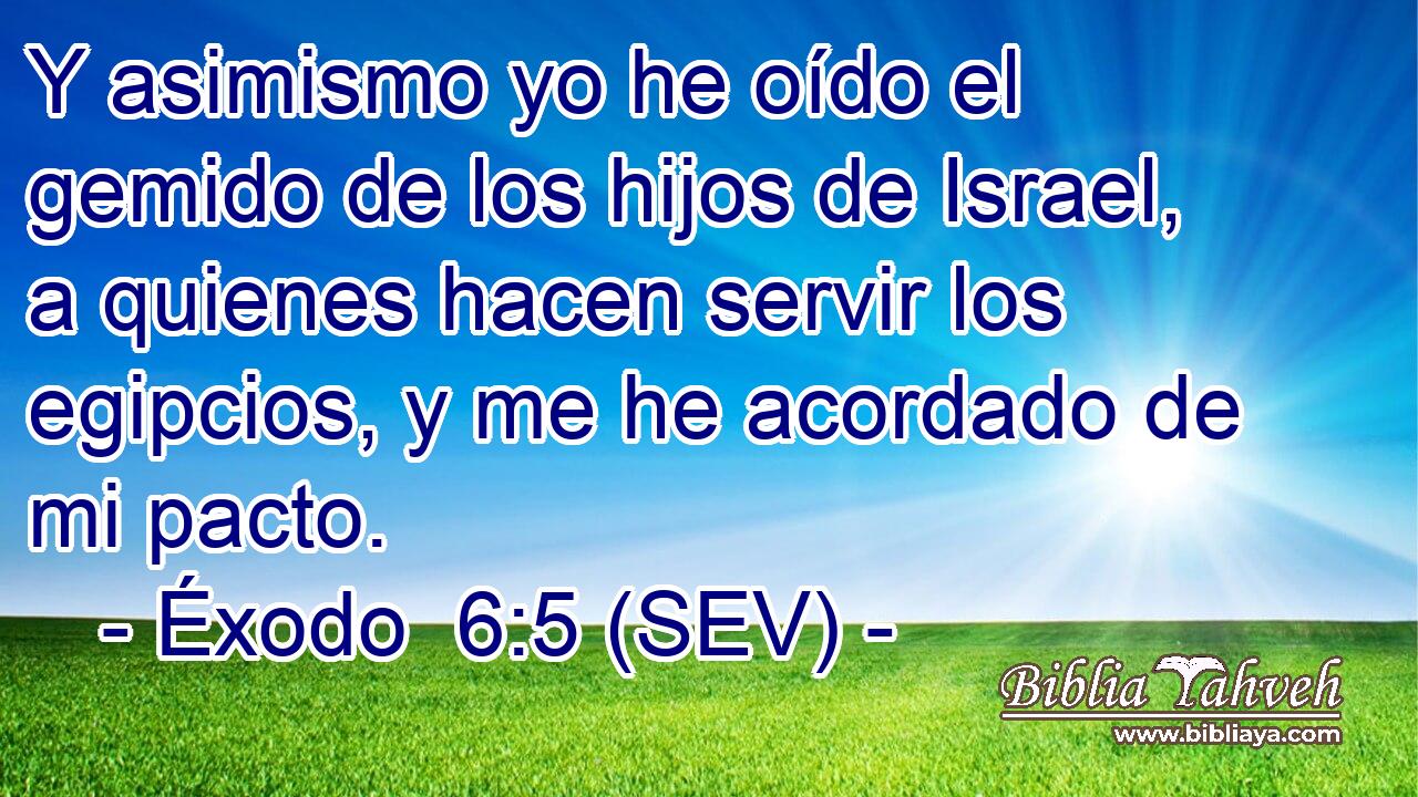 Y asimismo yo he oído el gemido de los hijos de Israel, a quienes hacen servir los egipcios, y me he acordado de mi pacto.
