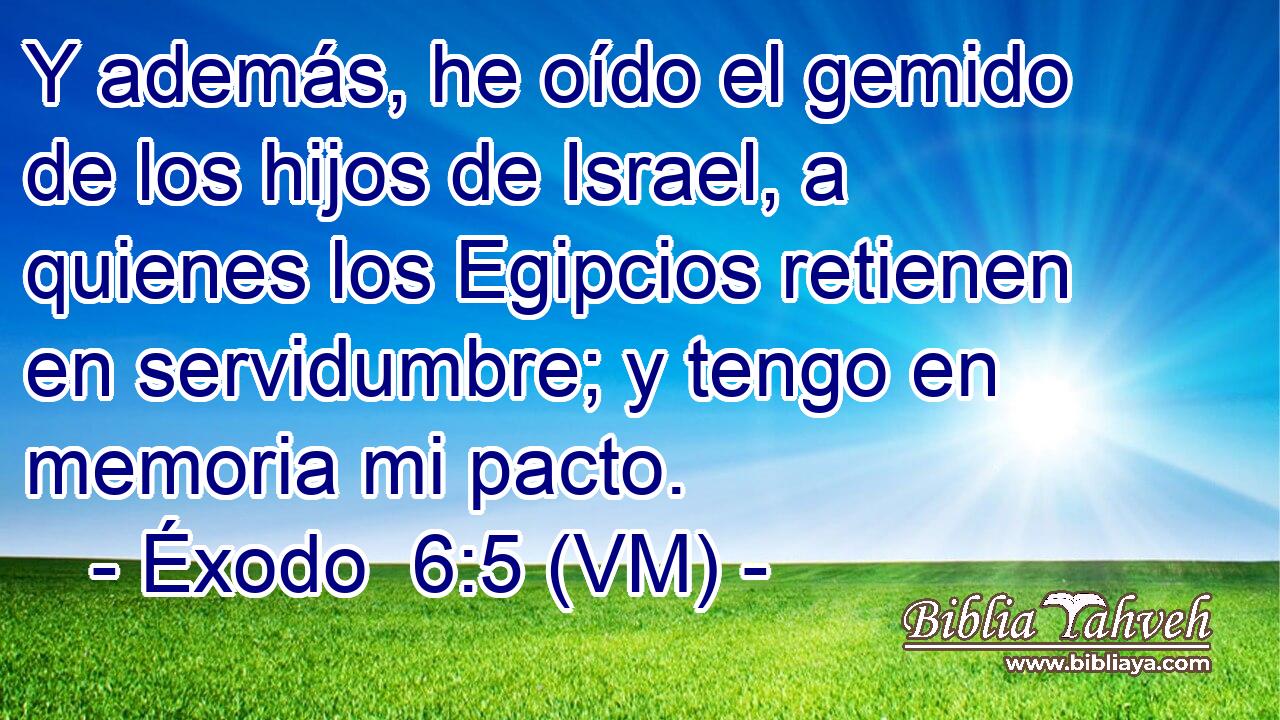  Y además, he oído el gemido de los hijos de Israel, a quienes los Egipcios retienen en servidumbre; y tengo en memoria mi pacto. 