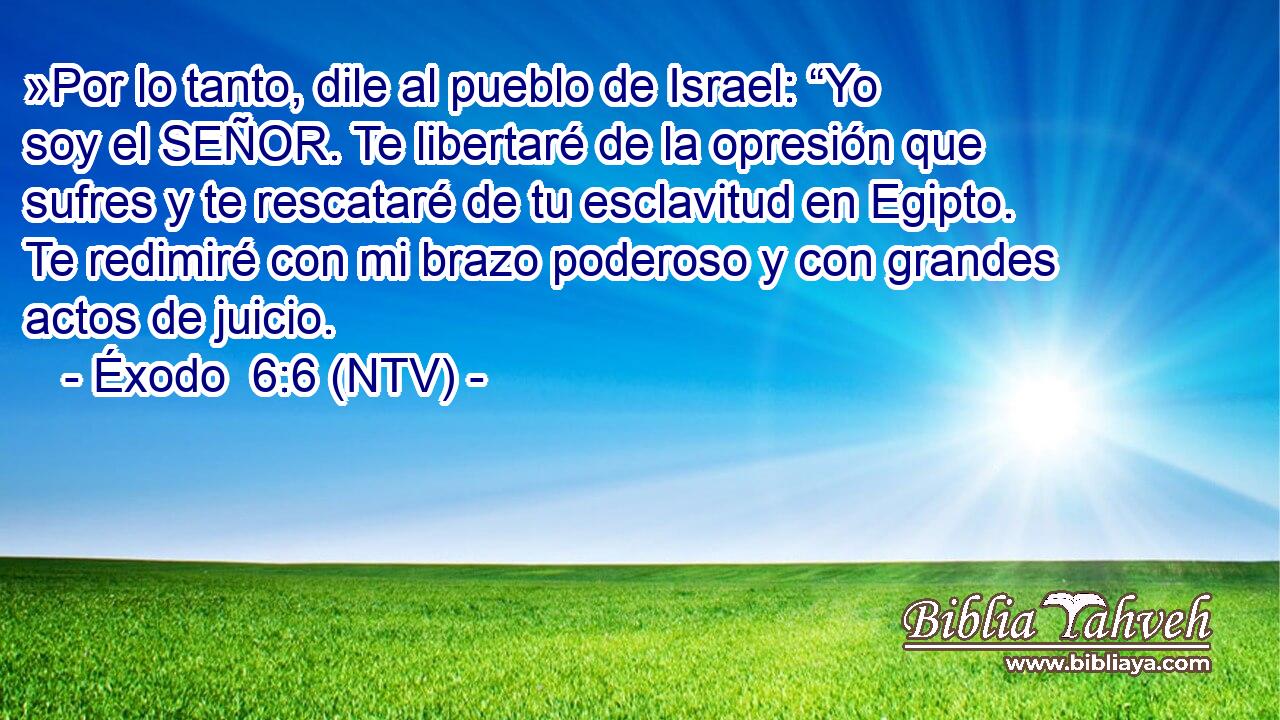 »Por lo tanto, dile al pueblo de Israel: “Yo soy el SEÑOR. Te libertaré de la opresión que sufres y te rescataré de tu esclavitud en Egipto. Te redimiré con mi brazo poderoso y con grandes actos de juicio.