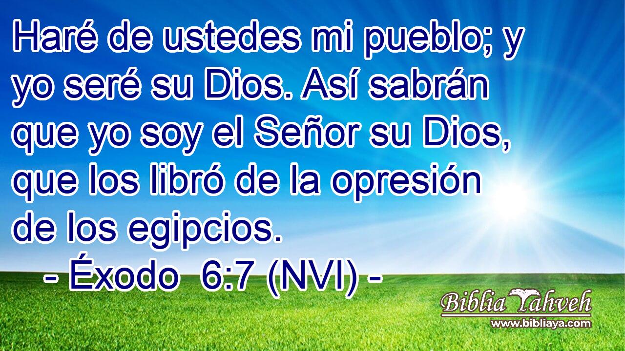  Haré de ustedes mi pueblo; y yo seré su Dios. Así sabrán que yo soy el Señor su Dios, que los libró de la opresión de los egipcios. 