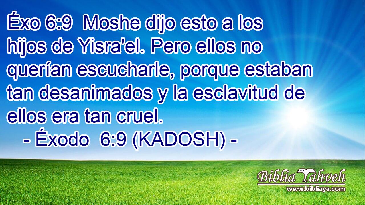  Moshe dijo esto a los hijos de Yisra'el. Pero ellos no querían escucharle, porque estaban tan desanimados y la esclavitud de ellos era tan cruel. 