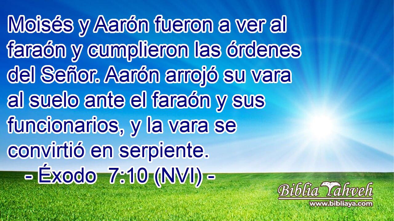  Moisés y Aarón fueron a ver al faraón y cumplieron las órdenes del Señor. Aarón arrojó su vara al suelo ante el faraón y sus funcionarios, y la vara se convirtió en serpiente. 