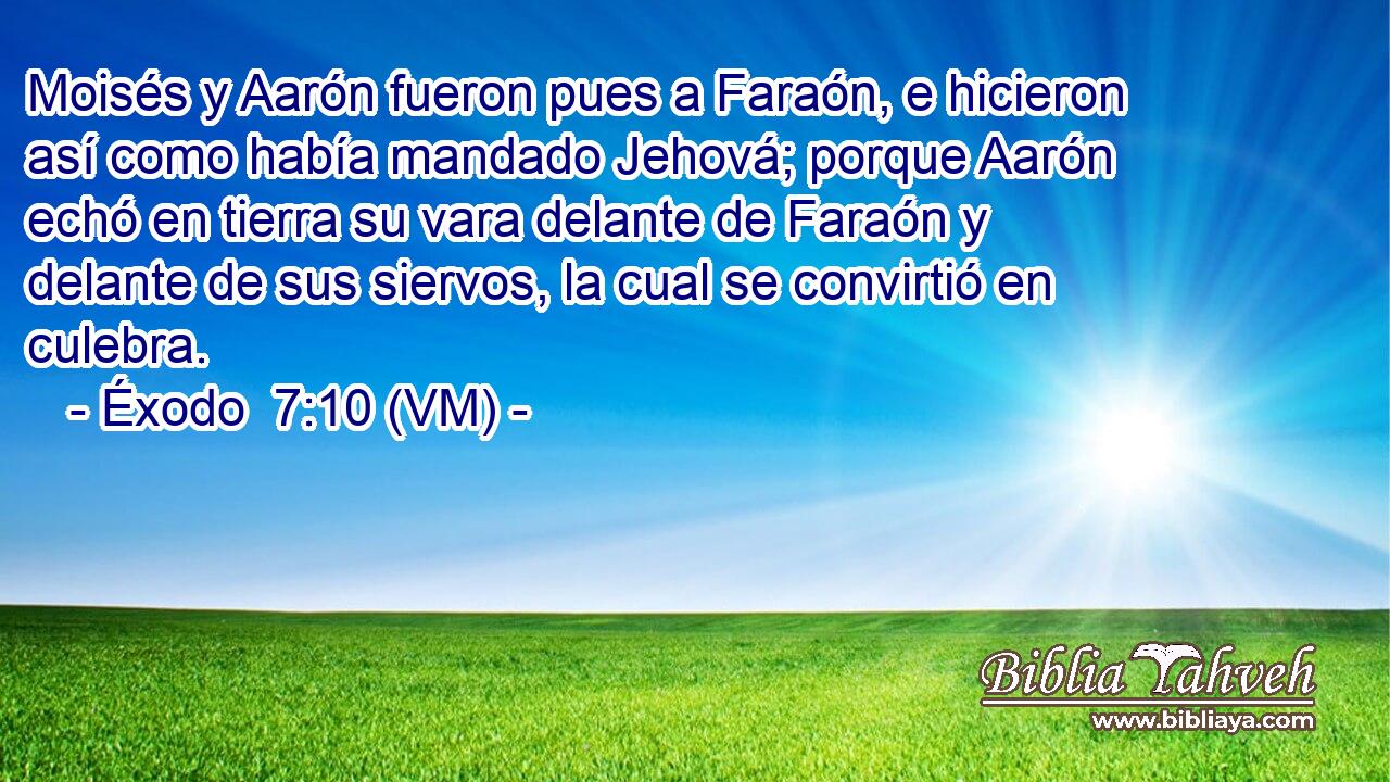  Moisés y Aarón fueron pues a Faraón, e hicieron así como había mandado Jehová; porque Aarón echó en tierra su vara delante de Faraón y delante de sus siervos, la cual se convirtió en culebra. 