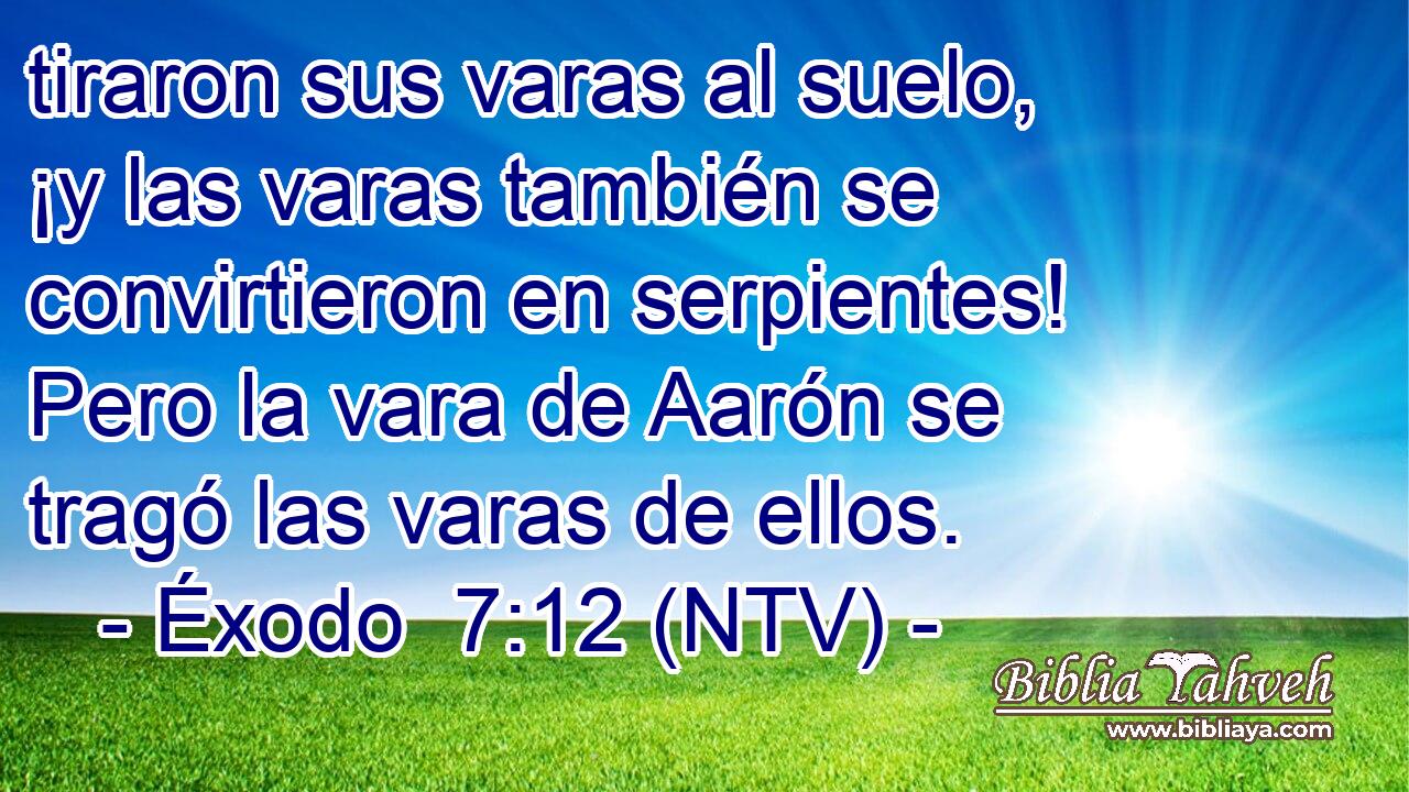 tiraron sus varas al suelo, ¡y las varas también se convirtieron en serpientes! Pero la vara de Aarón se tragó las varas de ellos.