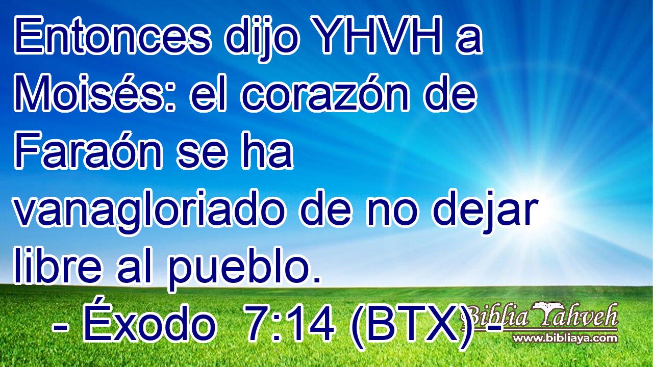 Entonces dijo YHVH a Moisés: el corazón de Faraón se ha vanagloriado de no dejar libre al pueblo.