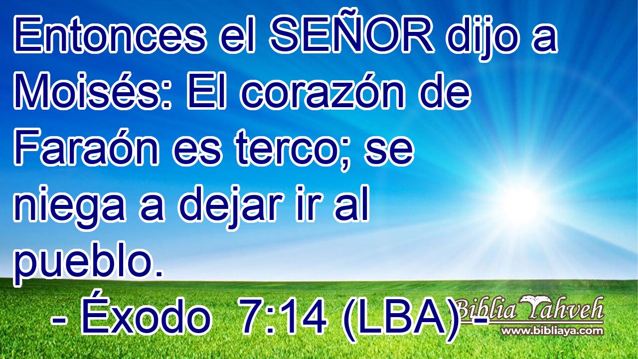Entonces el SEÑOR dijo a Moisés: El corazón de Faraón es terco; se niega a dejar ir al pueblo.