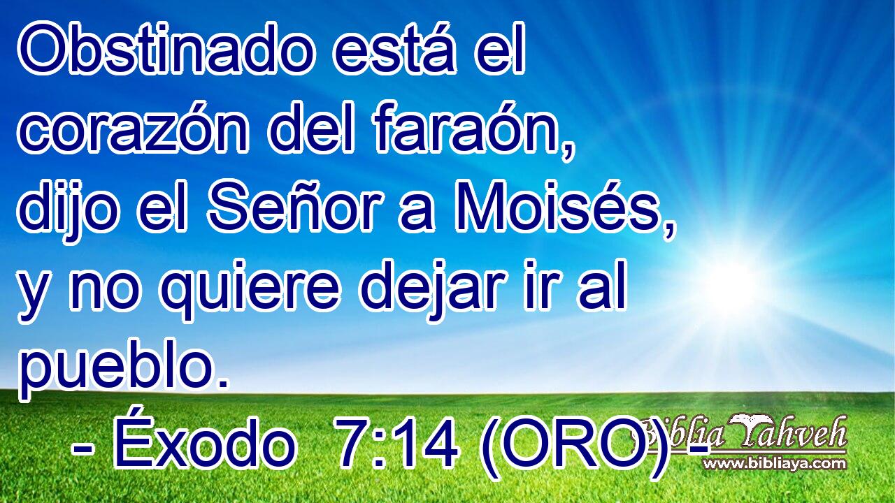  Obstinado está el corazón del faraón, dijo el Señor a Moisés, y no quiere dejar ir al pueblo. 