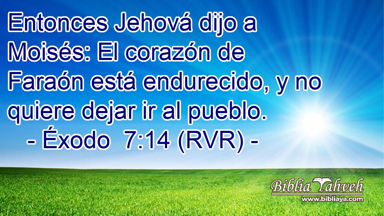 Entonces Jehová dijo a Moisés: El corazón de Faraón está endurecido, y no quiere dejar ir al pueblo.
