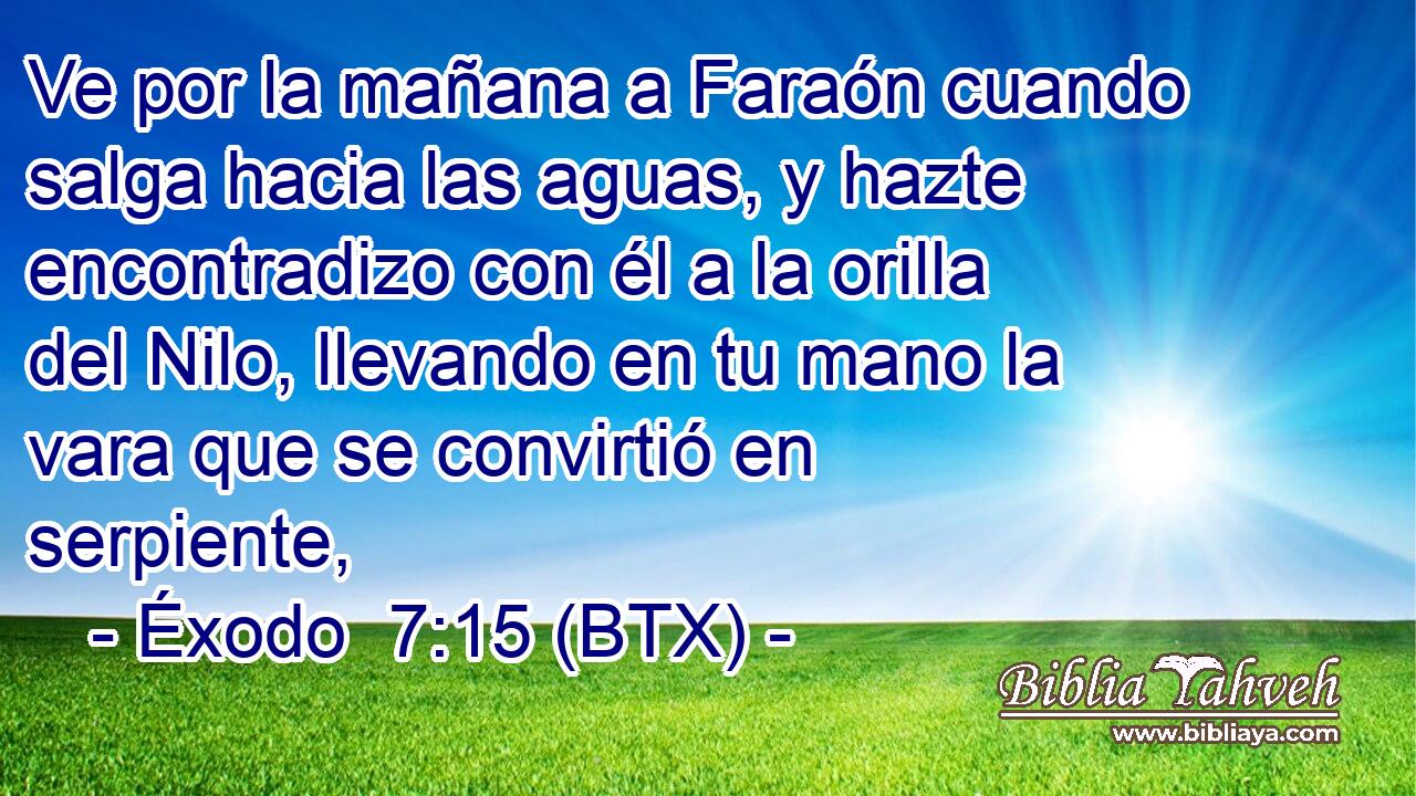 Ve por la mañana a Faraón cuando salga hacia las aguas, y hazte encontradizo con él a la orilla del Nilo, llevando en tu mano la vara que se convirtió en serpiente,