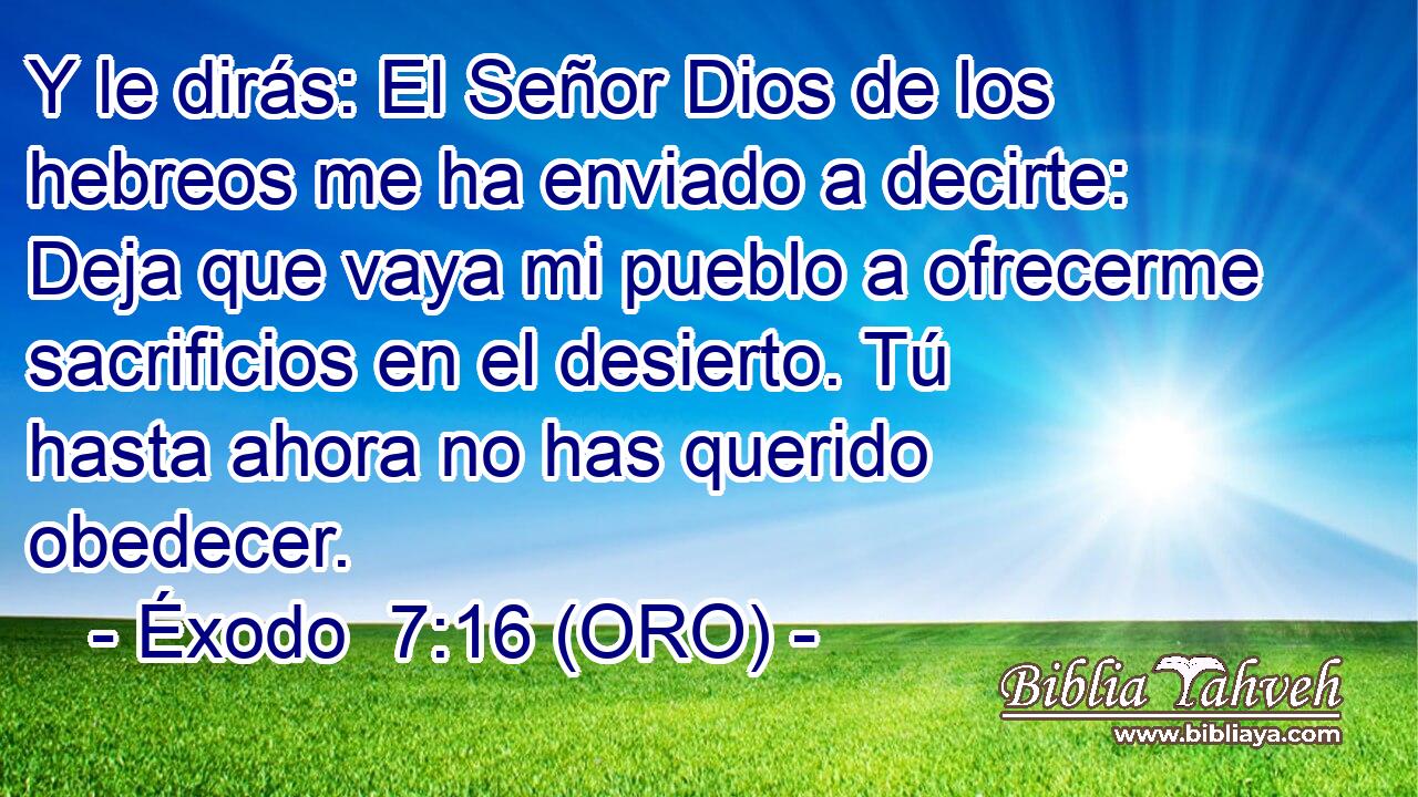  Y le dirás: El Señor Dios de los hebreos me ha enviado a decirte: Deja que vaya mi pueblo a ofrecerme sacrificios en el desierto. Tú hasta ahora no has querido obedecer. 