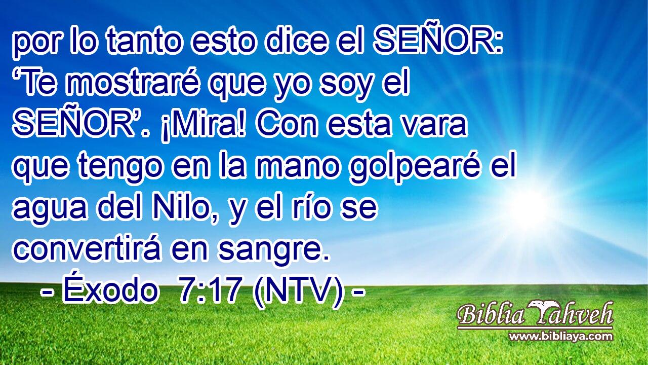 por lo tanto esto dice el SEÑOR: ‘Te mostraré que yo soy el SEÑOR’. ¡Mira! Con esta vara que tengo en la mano golpearé el agua del Nilo, y el río se convertirá en sangre.