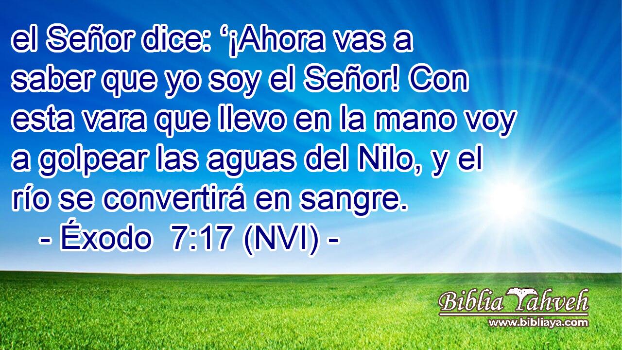  el Señor dice: ‘¡Ahora vas a saber que yo soy el Señor! Con esta vara que llevo en la mano voy a golpear las aguas del Nilo, y el río se convertirá en sangre. 
