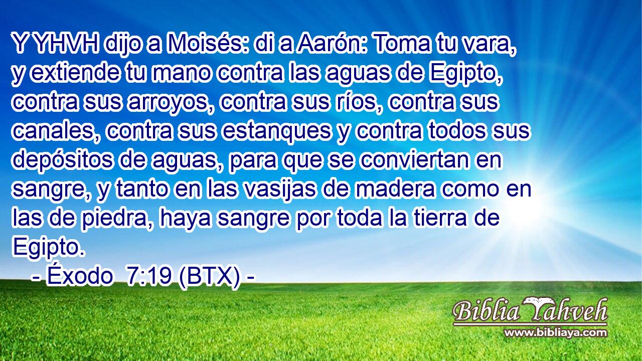 Y YHVH dijo a Moisés: di a Aarón: Toma tu vara, y extiende tu mano contra las aguas de Egipto, contra sus arroyos, contra sus ríos, contra sus canales, contra sus estanques y contra todos sus depósitos de aguas, para que se conviertan en sangre, y tanto en las vasijas de madera como en las de piedra, haya sangre por toda la tierra de Egipto.