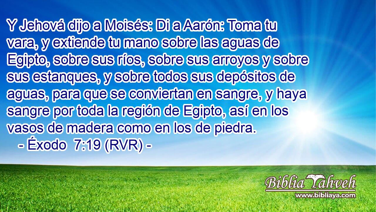 Y Jehová dijo a Moisés: Di a Aarón: Toma tu vara, y extiende tu mano sobre las aguas de Egipto, sobre sus ríos, sobre sus arroyos y sobre sus estanques, y sobre todos sus depósitos de aguas, para que se conviertan en sangre, y haya sangre por toda la región de Egipto, así en los vasos de madera como en los de piedra.