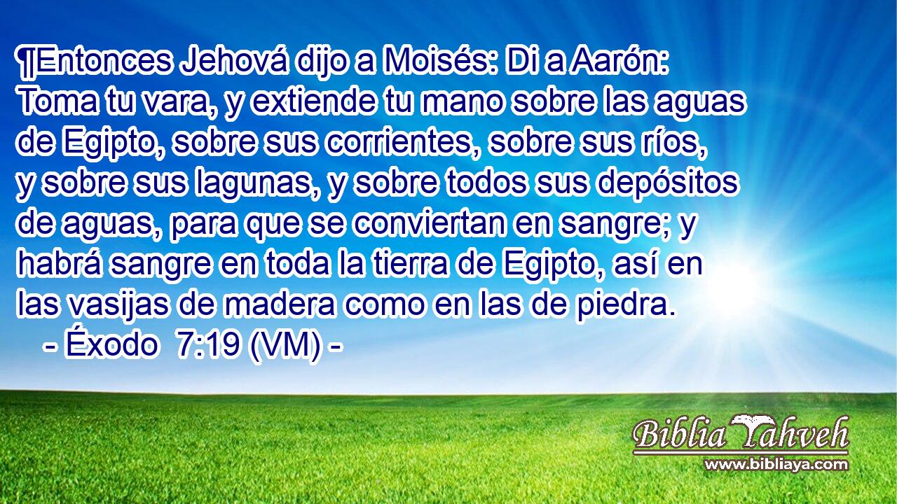  ¶Entonces Jehová dijo a Moisés: Di a Aarón: Toma tu vara, y extiende tu mano sobre las aguas de Egipto, sobre sus corrientes, sobre sus ríos, y sobre sus lagunas, y sobre todos sus depósitos de aguas, para que se conviertan en sangre; y habrá sangre en toda la tierra de Egipto, así en las vasijas de madera como en las de piedra. 