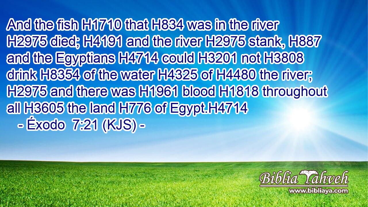 And the fish H1710 that H834 was in the river H2975 died; H4191 and the river H2975 stank, H887 and the Egyptians H4714 could H3201 not H3808 drink H8354 of the water H4325 of H4480 the river; H2975 and there was H1961 blood H1818 throughout all H3605 the land H776 of Egypt.H4714