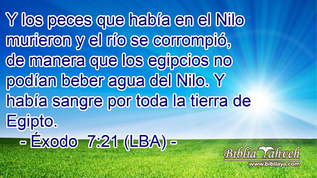 Y los peces que había en el Nilo murieron y el río se corrompió, de manera que los egipcios no podían beber agua del Nilo. Y había sangre por toda la tierra de Egipto.