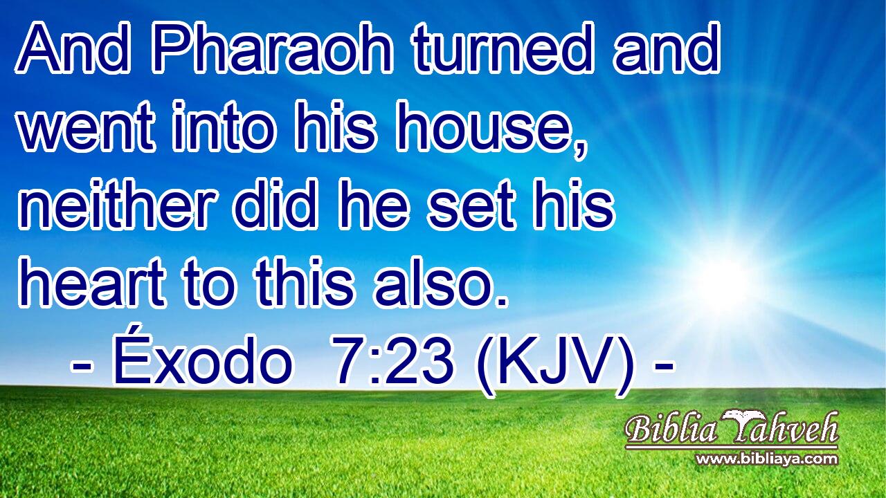 And Pharaoh turned and went into his house, neither did he set his heart to this also.