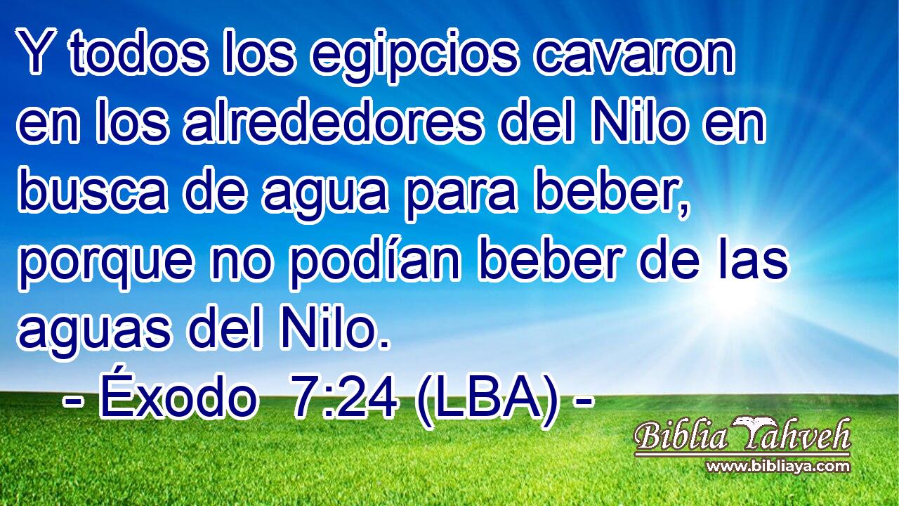 Y todos los egipcios cavaron en los alrededores del Nilo en busca de agua para beber, porque no podían beber de las aguas del Nilo.