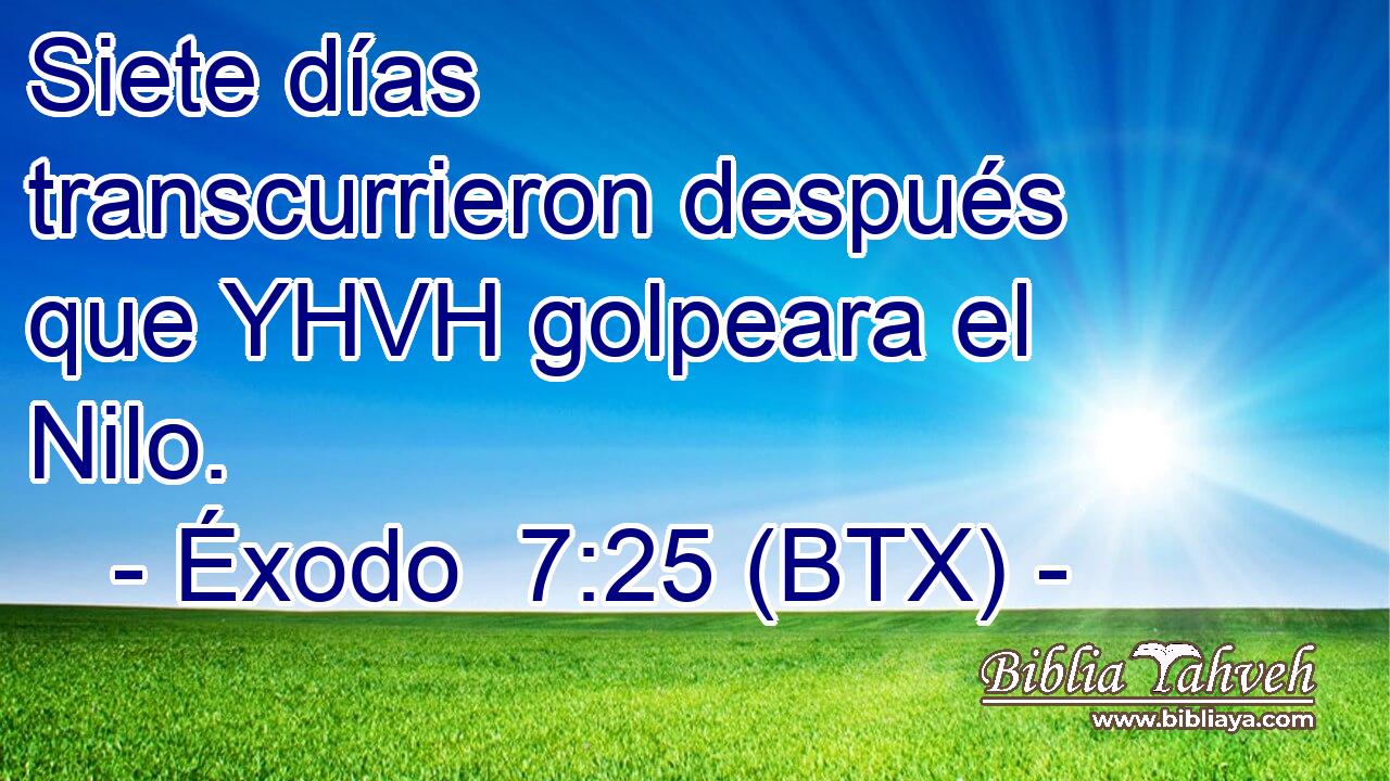 Siete días transcurrieron después que YHVH golpeara el Nilo.