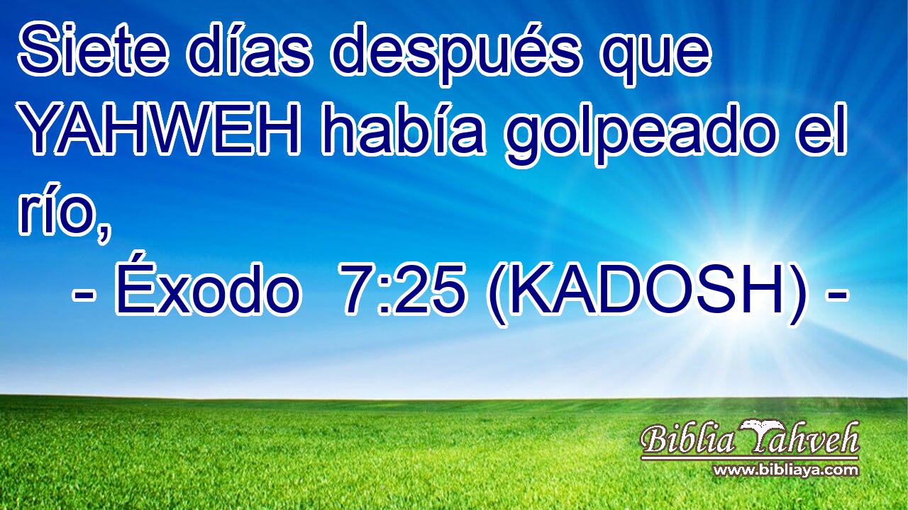  Siete días después que YAHWEH había golpeado el río, 