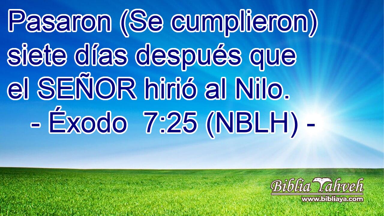  Pasaron (Se cumplieron) siete días después que el SEÑOR hirió al Nilo. 