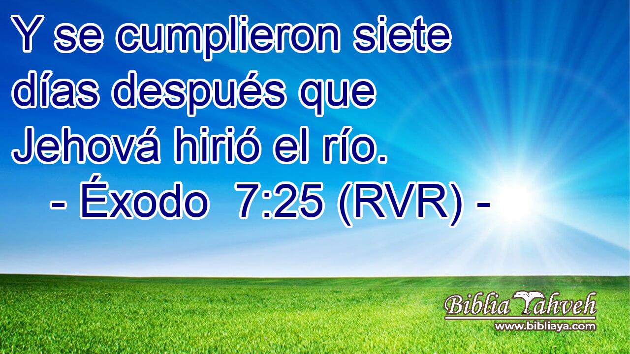 Y se cumplieron siete días después que Jehová hirió el río.