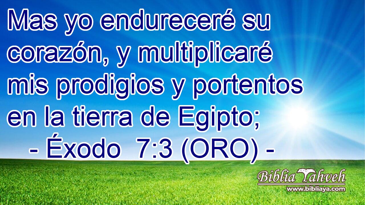  Mas yo endureceré su corazón, y multiplicaré mis prodigios y portentos en la tierra de Egipto; 