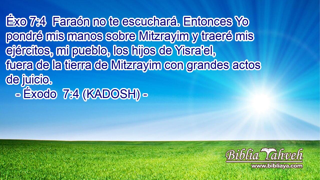  Faraón no te escuchará. Entonces Yo pondré mis manos sobre Mitzrayim y traeré mis ejércitos, mi pueblo, los hijos de Yisra'el, fuera de la tierra de Mitzrayim con grandes actos de juicio. 