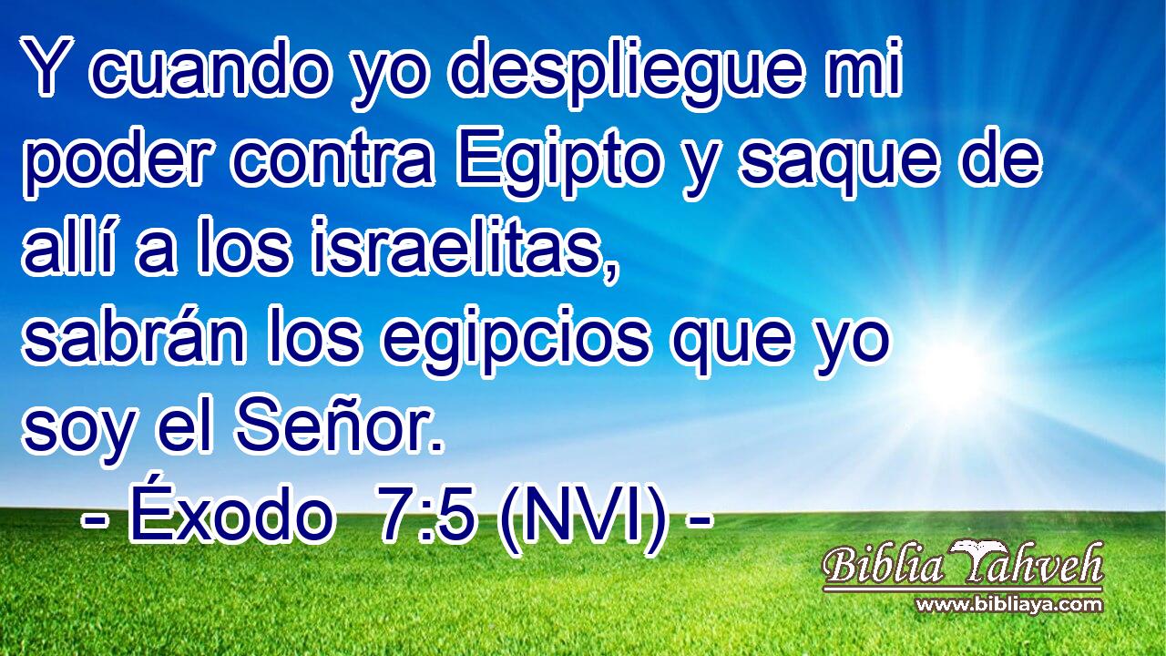  Y cuando yo despliegue mi poder contra Egipto y saque de allí a los israelitas, sabrán los egipcios que yo soy el Señor. 