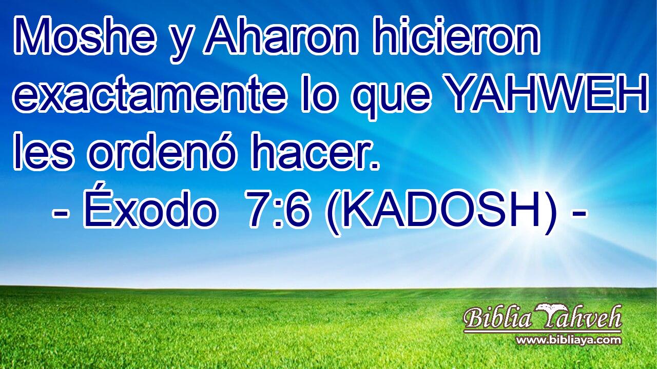  Moshe y Aharon hicieron exactamente lo que YAHWEH les ordenó hacer. 