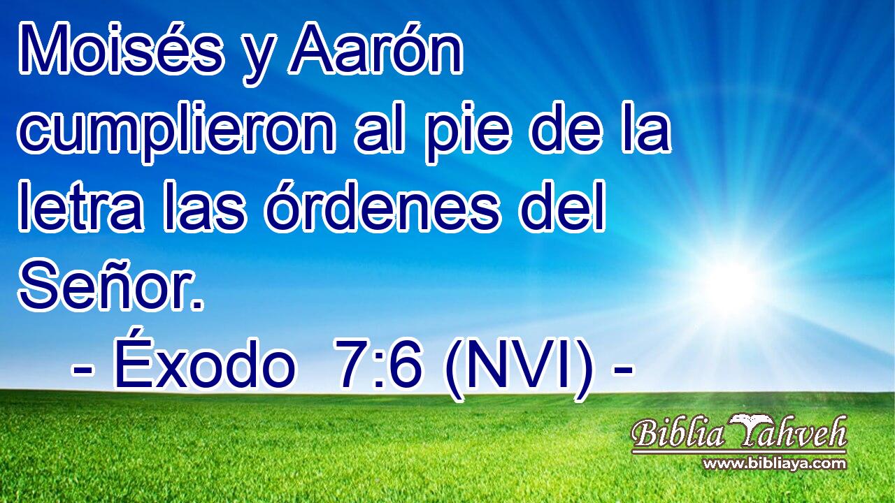  Moisés y Aarón cumplieron al pie de la letra las órdenes del Señor. 