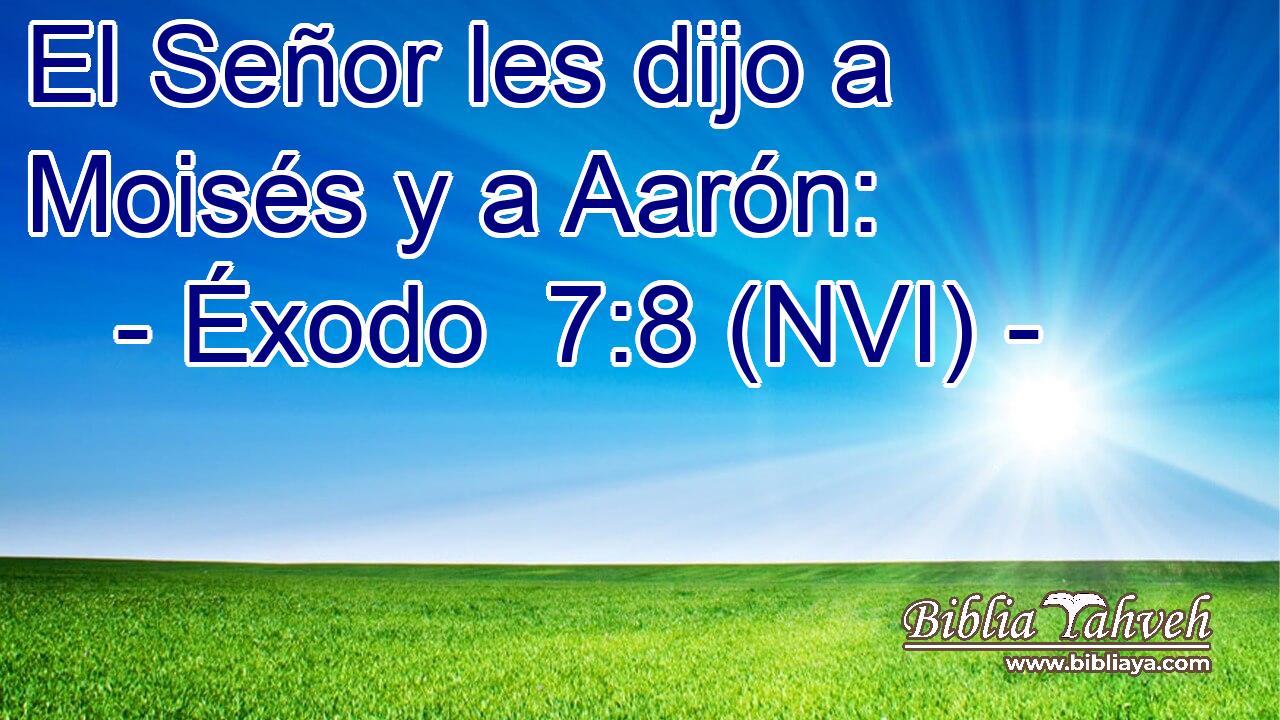  El Señor les dijo a Moisés y a Aarón: 