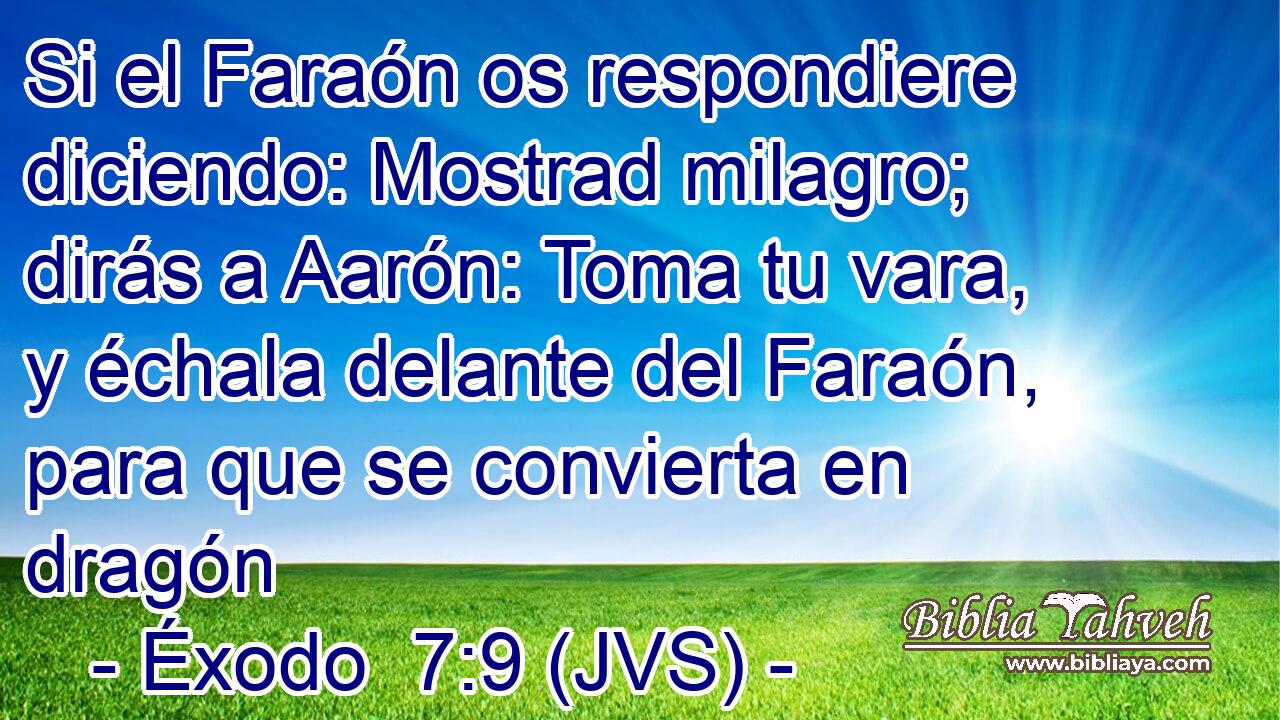 Si el Faraón os respondiere diciendo: Mostrad milagro; dirás a Aarón: Toma tu vara, y échala delante del Faraón, para que se convierta en dragón