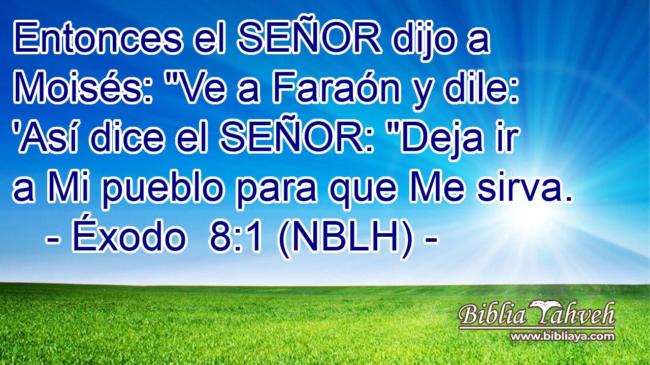  Entonces el SEÑOR dijo a Moisés: 