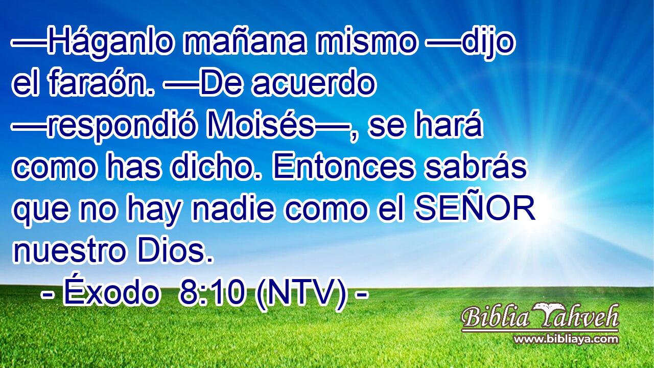—Háganlo mañana mismo —dijo el faraón. —De acuerdo —respondió Moisés—, se hará como has dicho. Entonces sabrás que no hay nadie como el SEÑOR nuestro Dios.