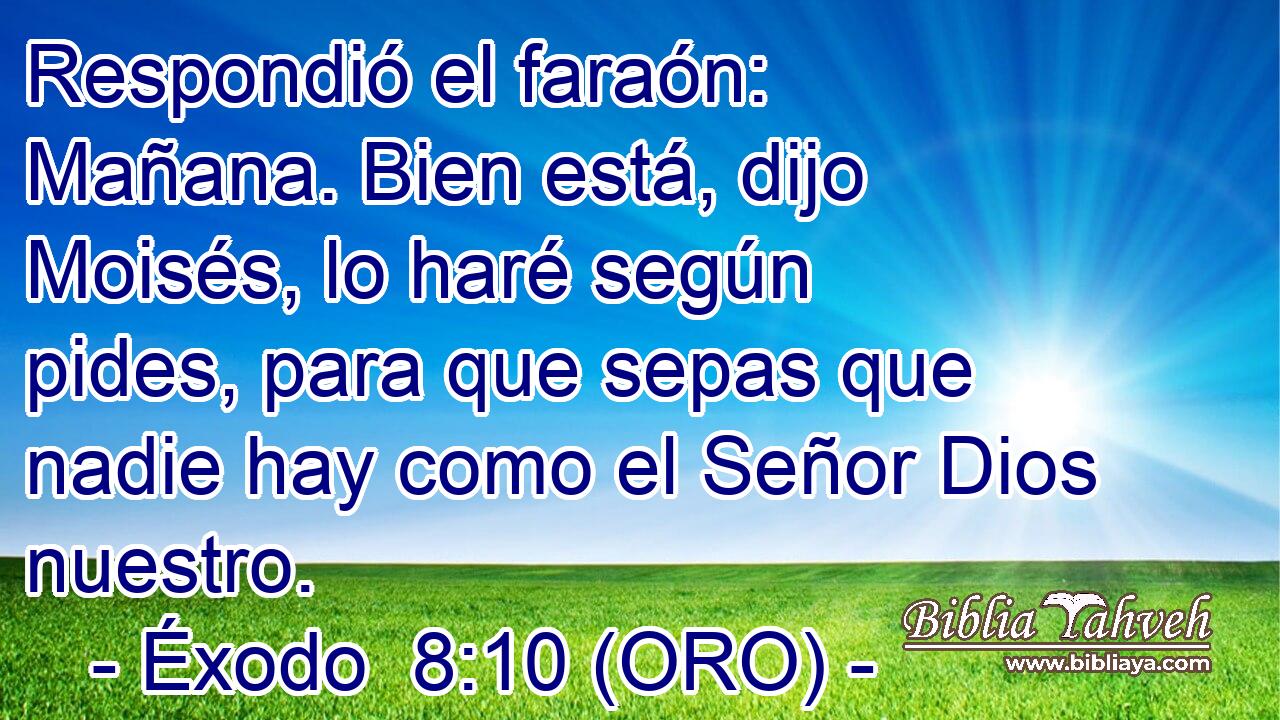  Respondió el faraón: Mañana. Bien está, dijo Moisés, lo haré según pides, para que sepas que nadie hay como el Señor Dios nuestro. 