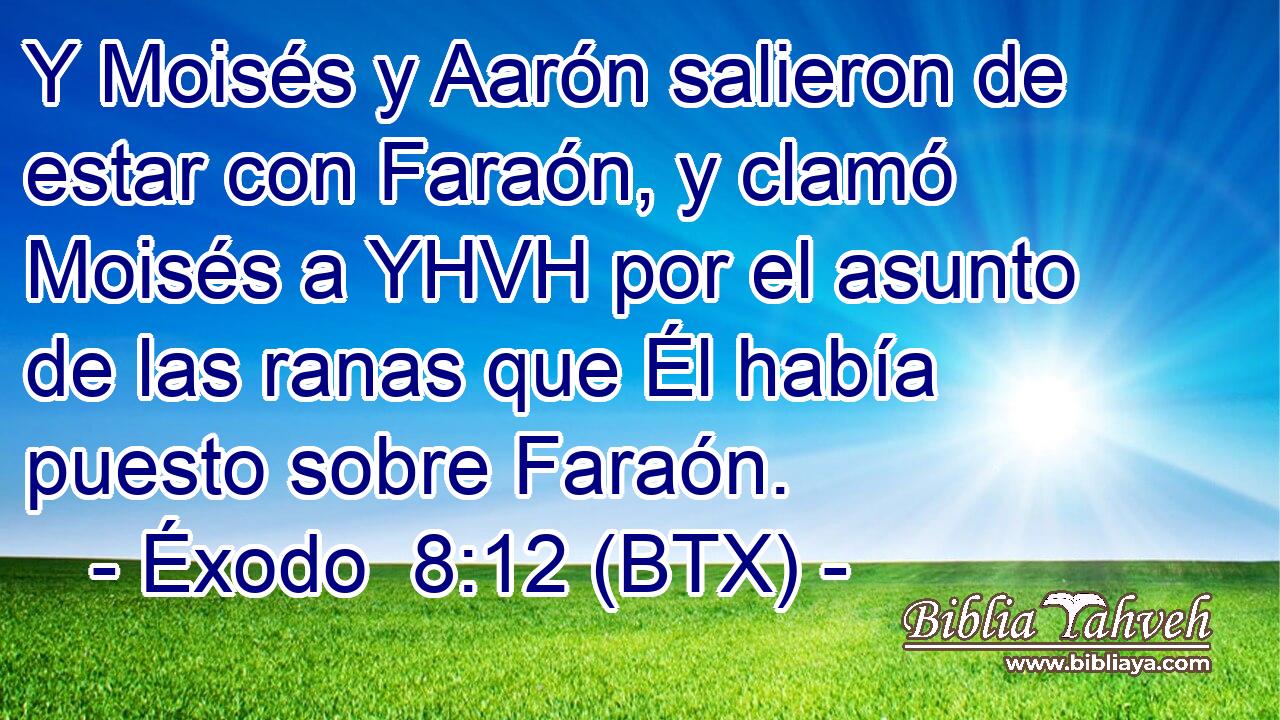 Y Moisés y Aarón salieron de estar con Faraón, y clamó Moisés a YHVH por el asunto de las ranas que Él había puesto sobre Faraón.