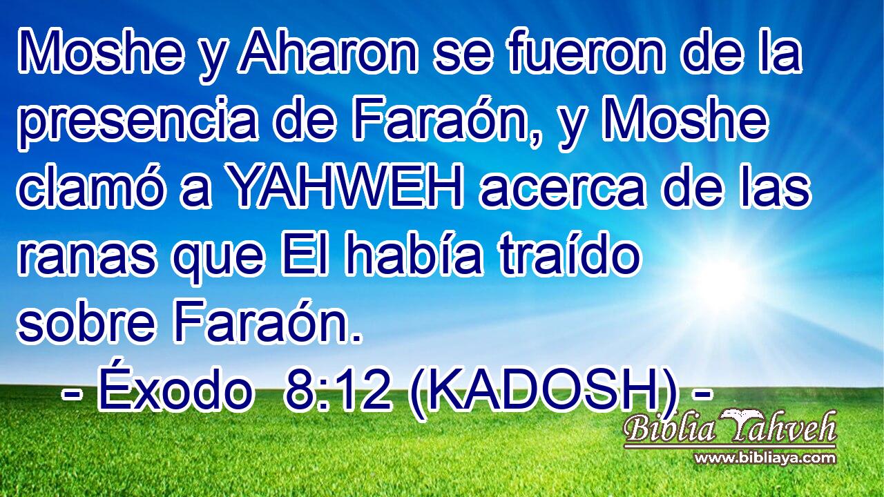  Moshe y Aharon se fueron de la presencia de Faraón, y Moshe clamó a YAHWEH acerca de las ranas que El había traído sobre Faraón. 