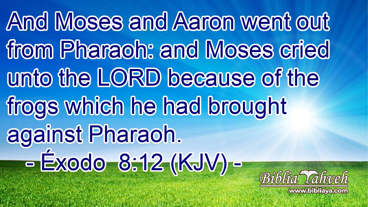 And Moses and Aaron went out from Pharaoh: and Moses cried unto the LORD because of the frogs which he had brought against Pharaoh.