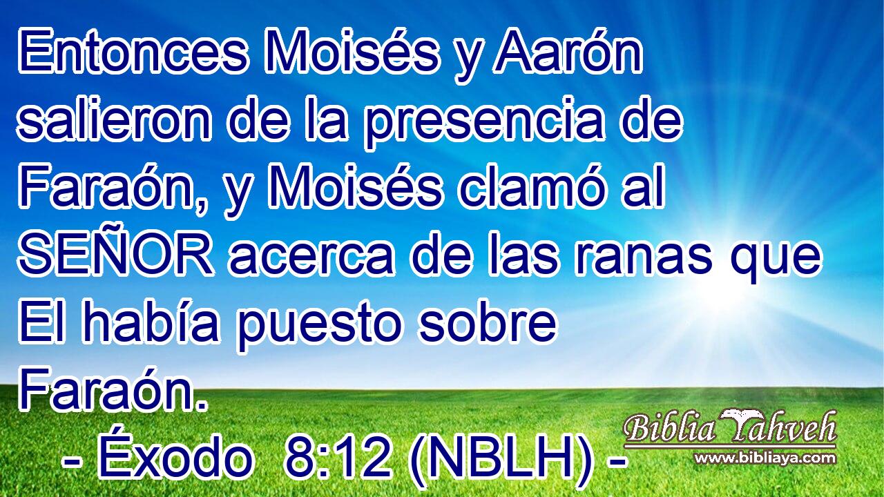  Entonces Moisés y Aarón salieron de la presencia de Faraón, y Moisés clamó al SEÑOR acerca de las ranas que El había puesto sobre Faraón. 