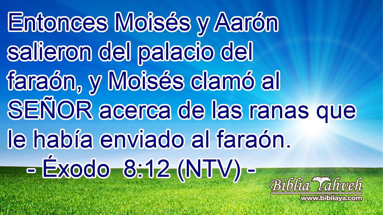 Entonces Moisés y Aarón salieron del palacio del faraón, y Moisés clamó al SEÑOR acerca de las ranas que le había enviado al faraón.