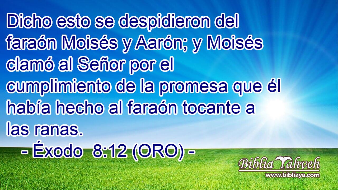  Dicho esto se despidieron del faraón Moisés y Aarón; y Moisés clamó al Señor por el cumplimiento de la promesa que él había hecho al faraón tocante a las ranas. 