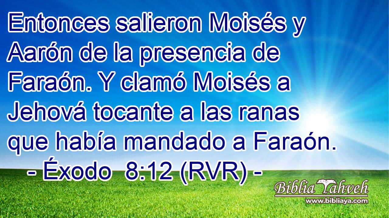 Entonces salieron Moisés y Aarón de la presencia de Faraón. Y clamó Moisés a Jehová tocante a las ranas que había mandado a Faraón.