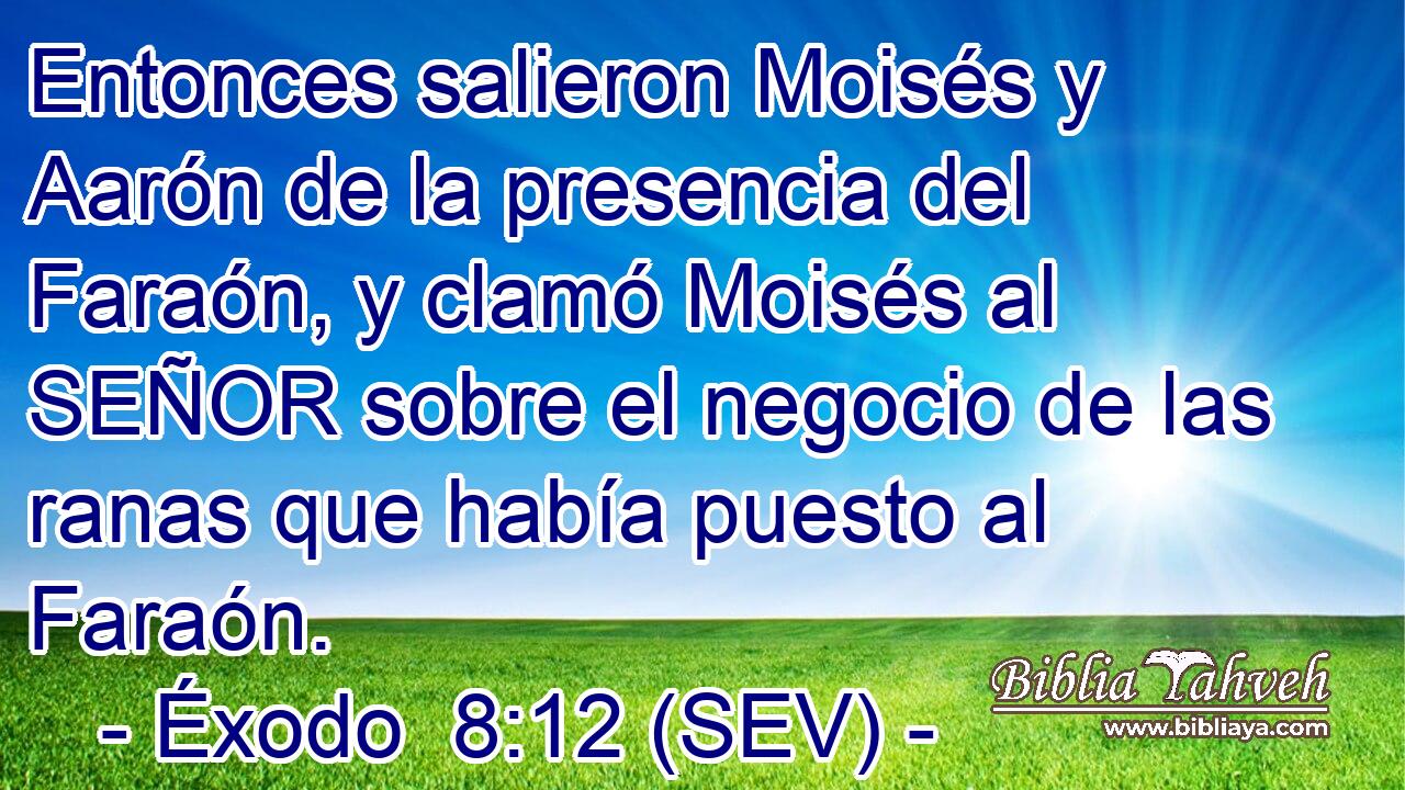 Entonces salieron Moisés y Aarón de la presencia del Faraón, y clamó Moisés al SEÑOR sobre el negocio de las ranas que había puesto al Faraón.