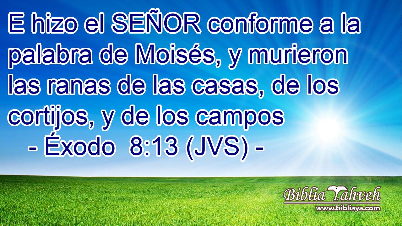 E hizo el SEÑOR conforme a la palabra de Moisés, y murieron las ranas de las casas, de los cortijos, y de los campos