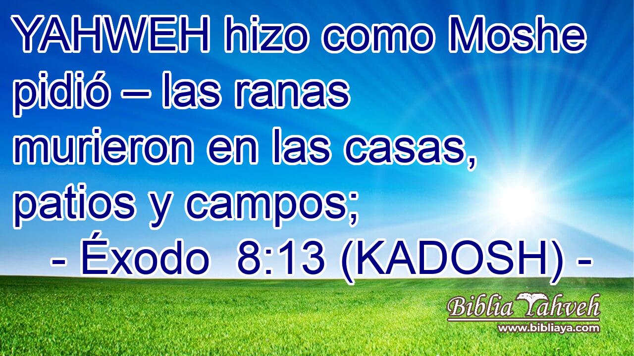  YAHWEH hizo como Moshe pidió – las ranas murieron en las casas, patios y campos; 